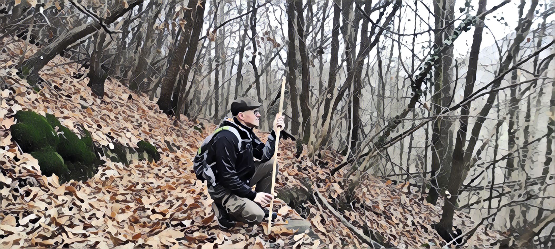A spasso nel bosco